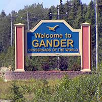 Gander