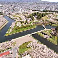 ticket Air Do - Hakodate