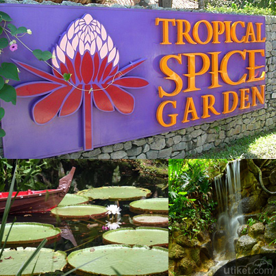 Tropical Spice Garden