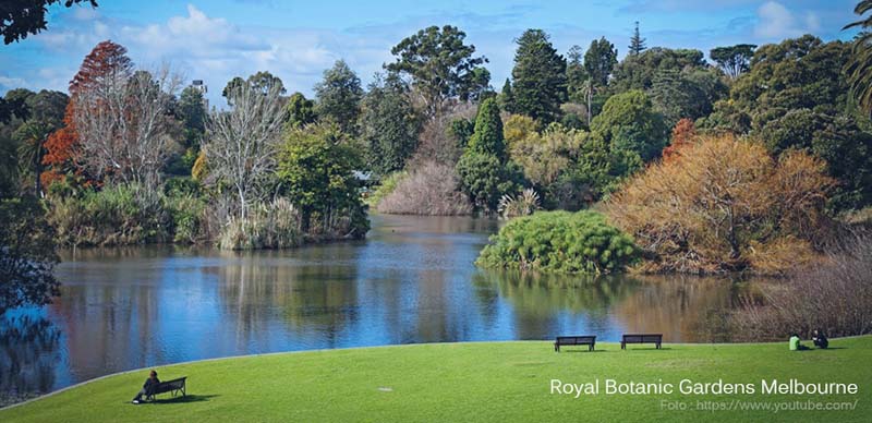 Royal Botanic Gardens 
